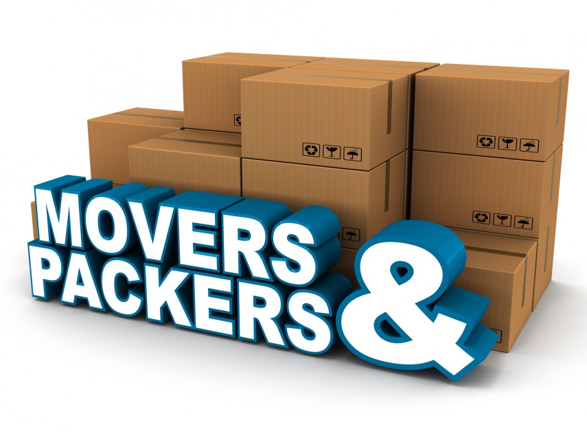 about sarshwati logistics & packer movers